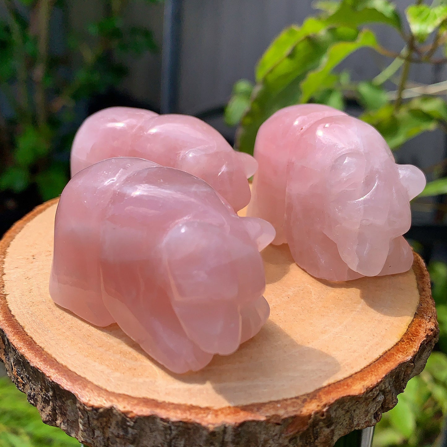 Rose Quartz Bear