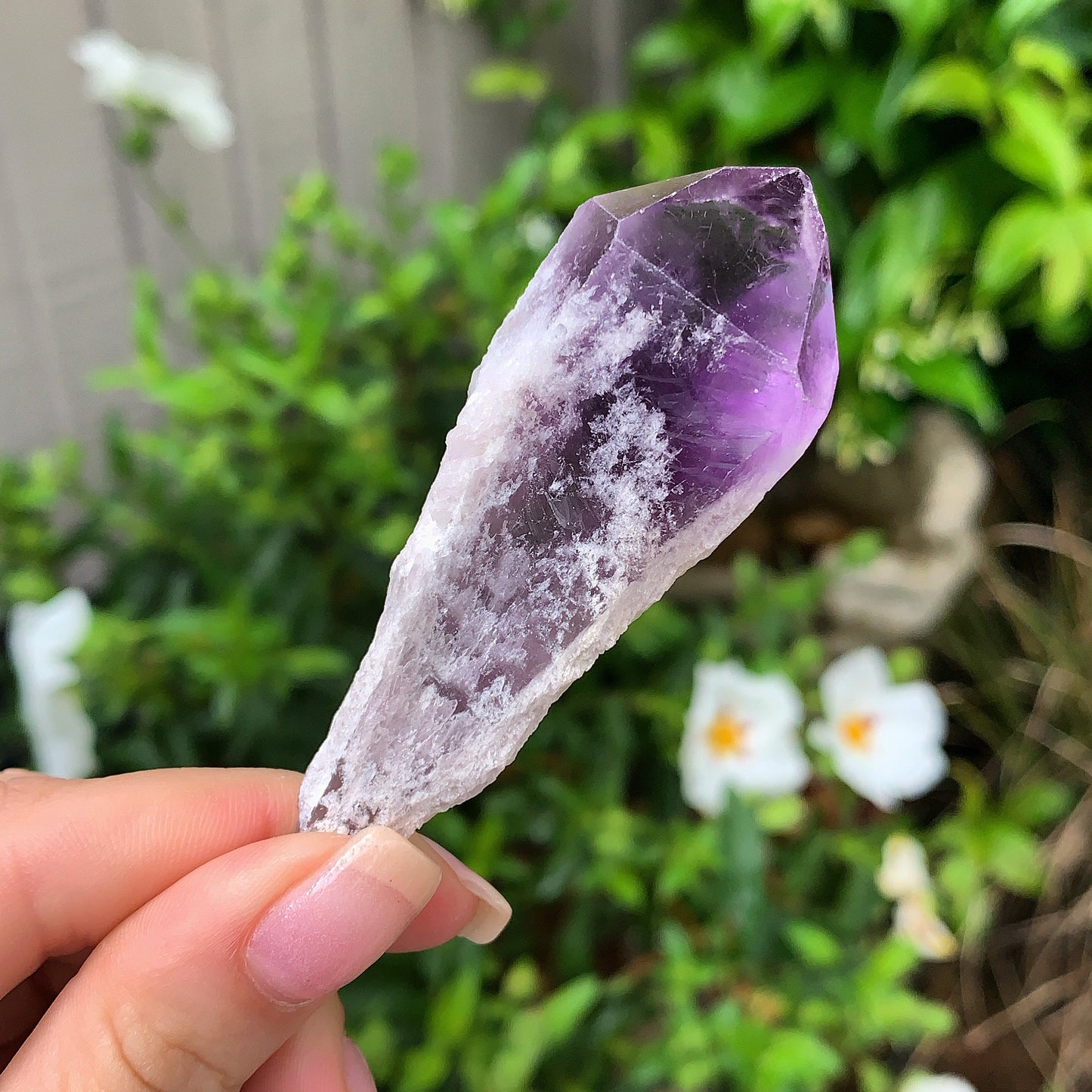 Raw Amethyst Shards