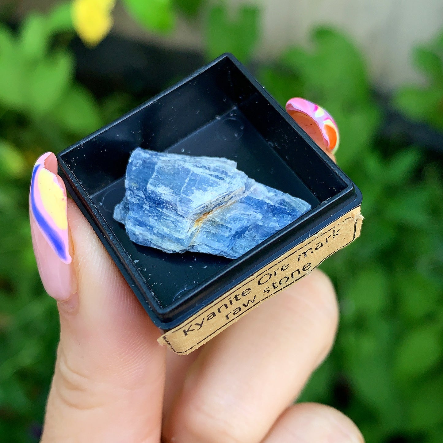 Ancient Specimen Fossil & Crystal Gift Box