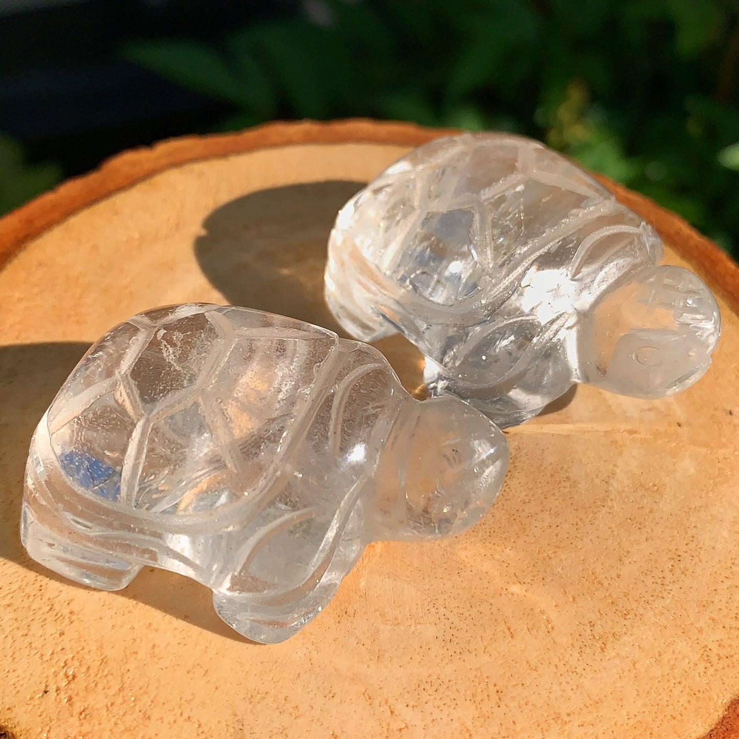 Clear Quartz Tortoise