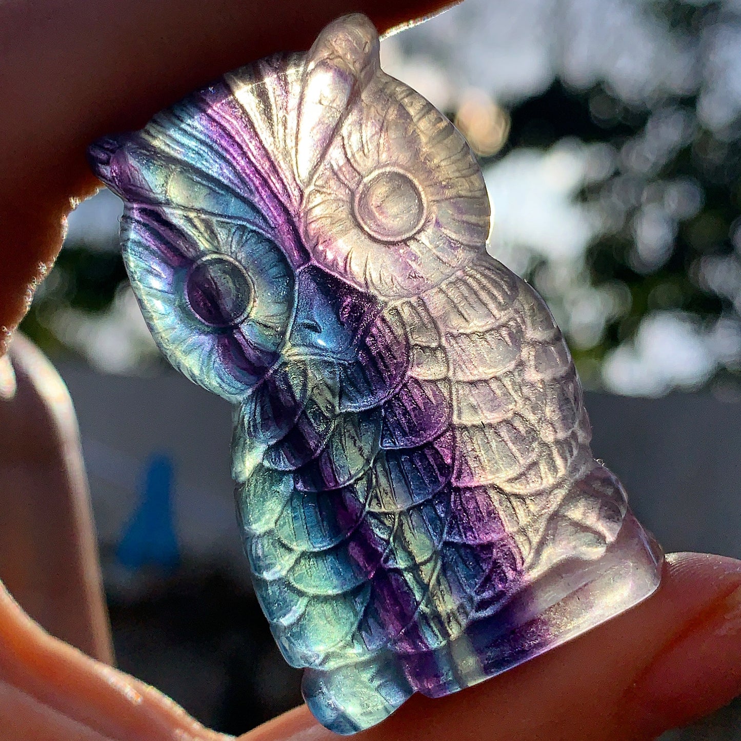 Hand Carved Rainbow Fluorite Owl