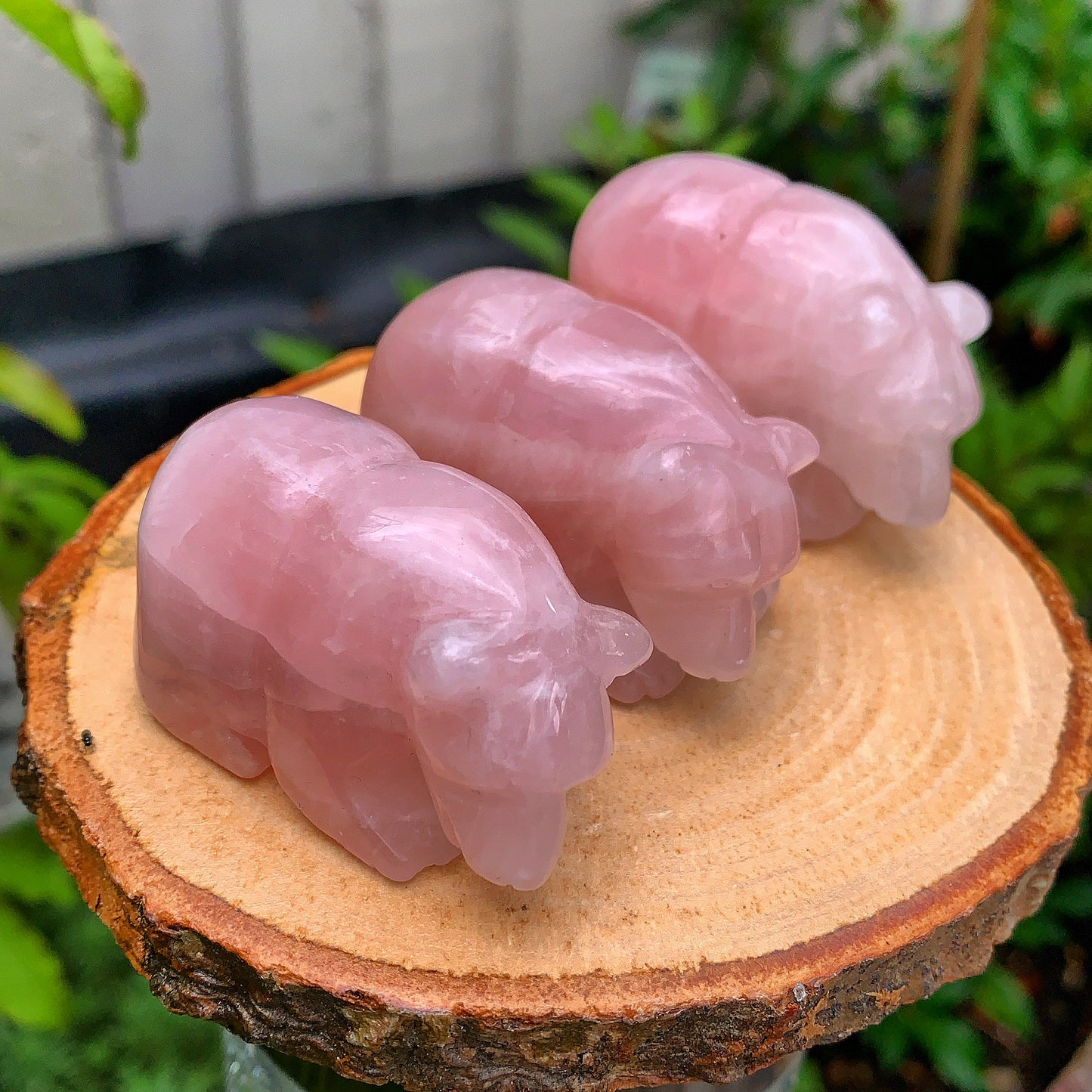 Rose Quartz Bear