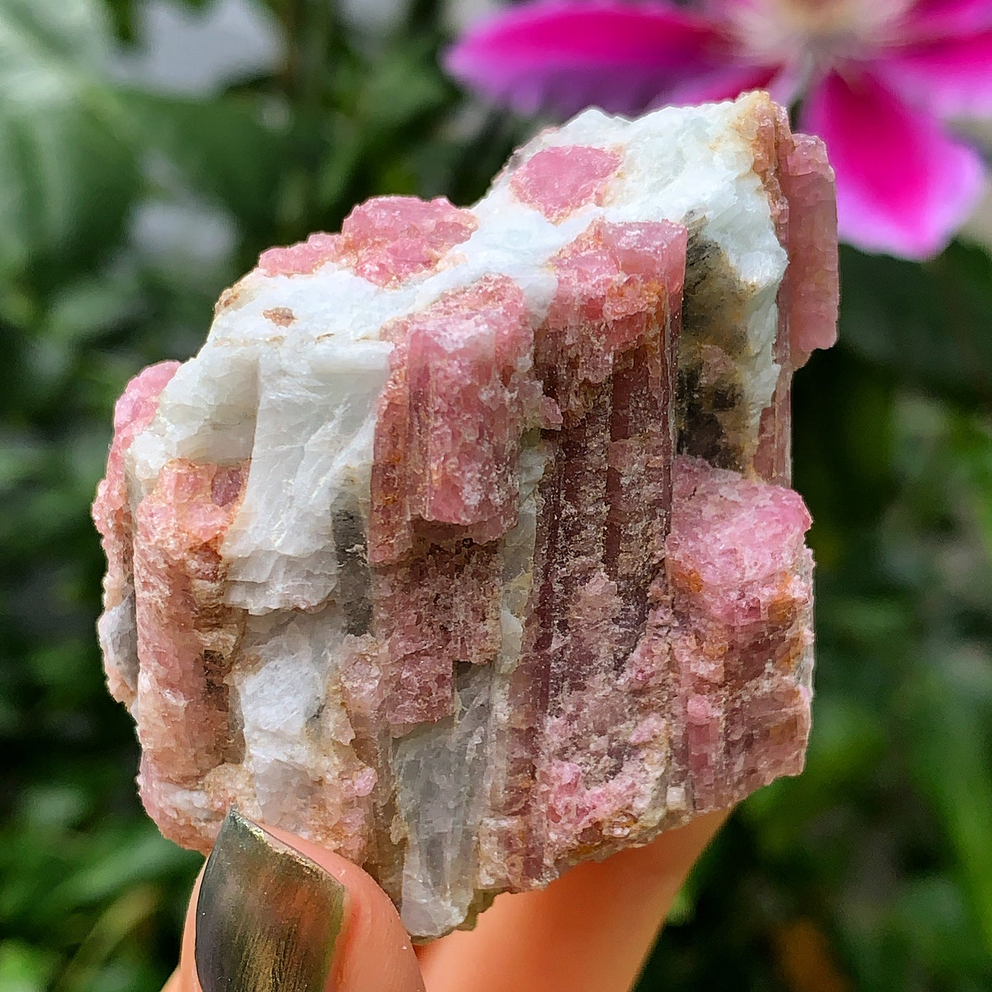 Raw Pink Tourmaline #3