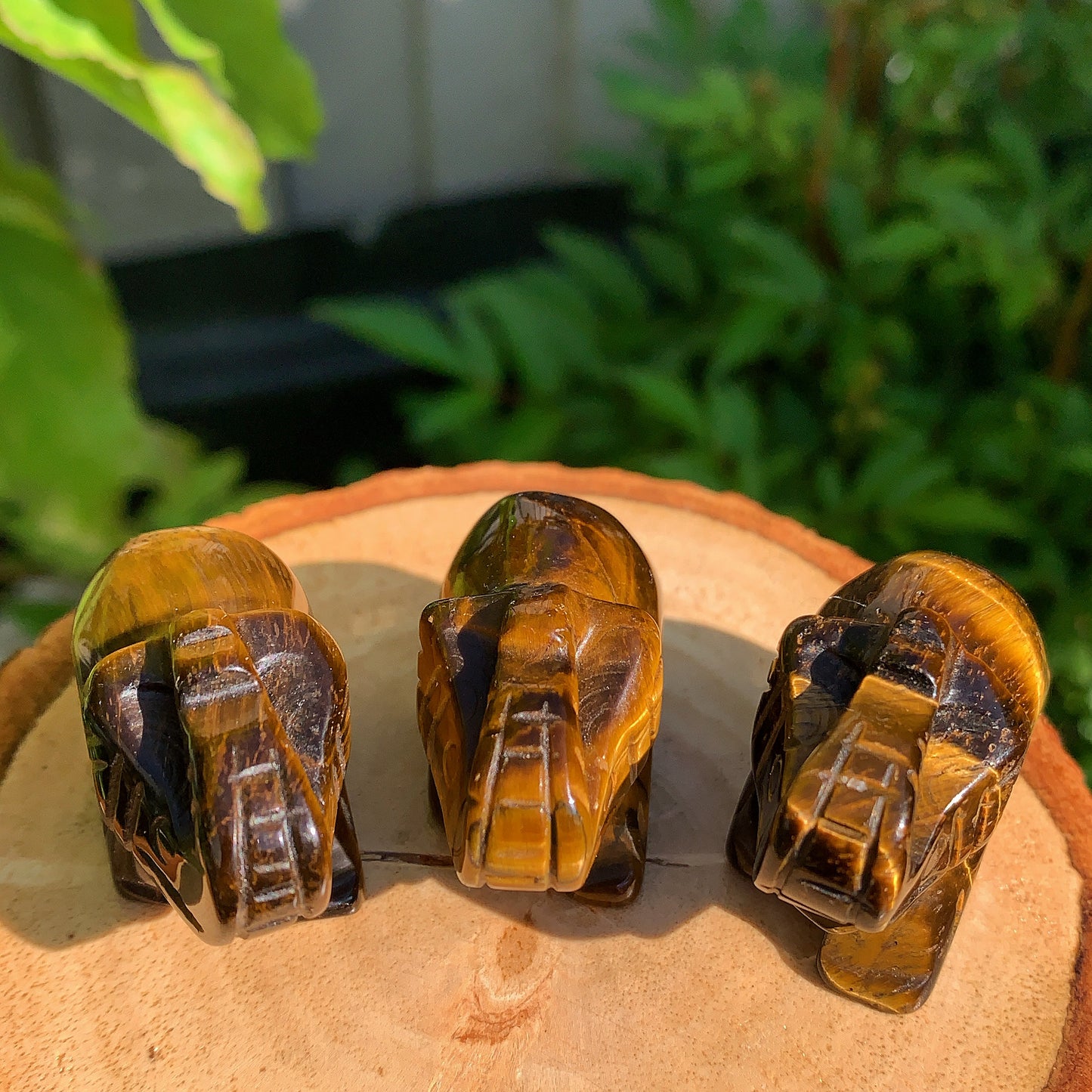 Tigers Eye Elephant