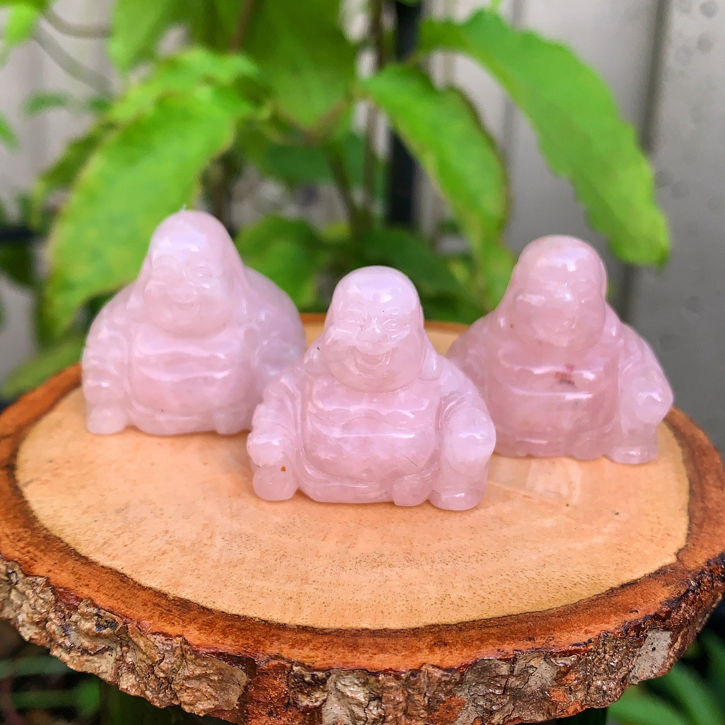 Rose Quartz Laughing Buddha