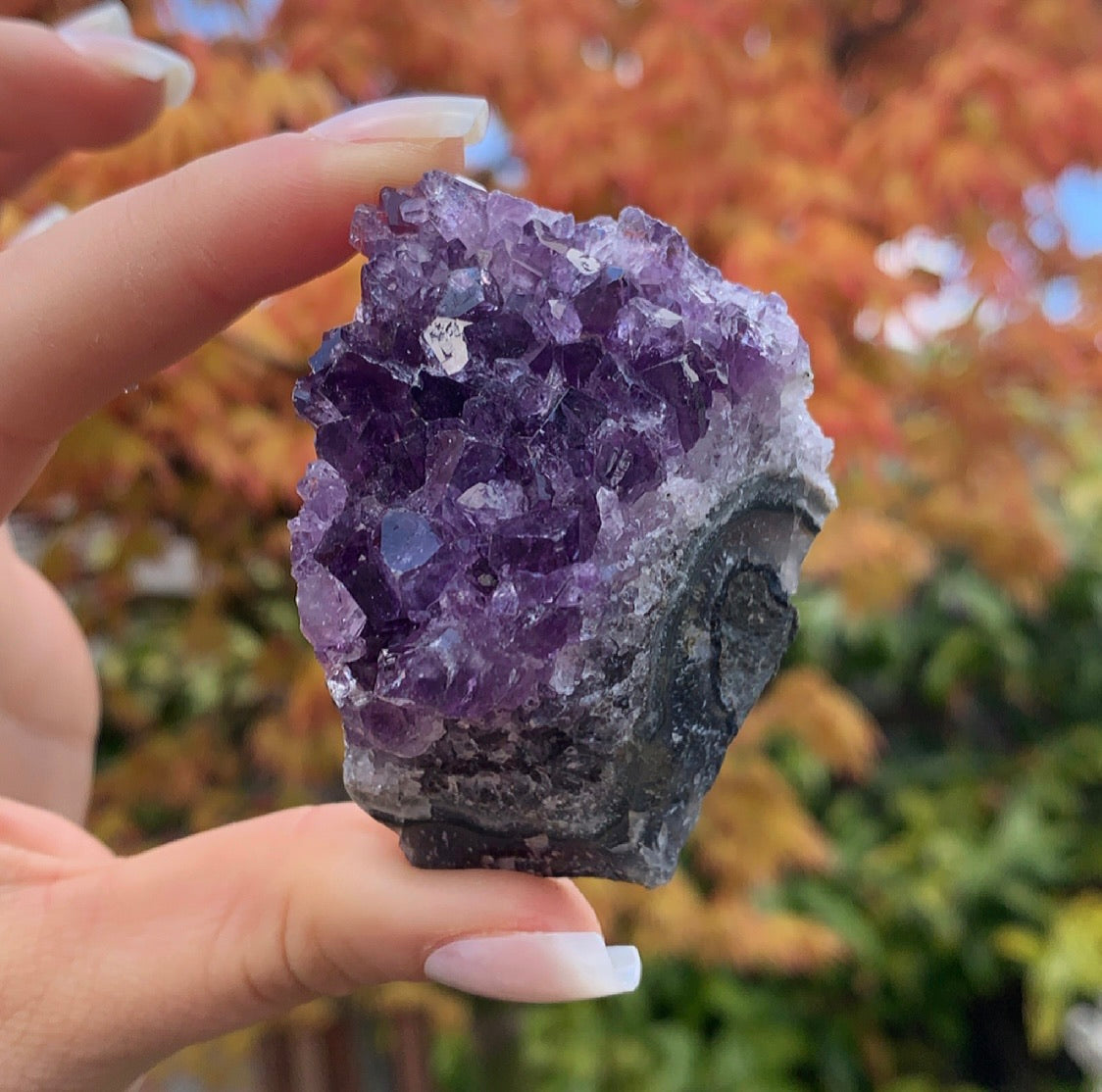 Raw Amethyst Cluster