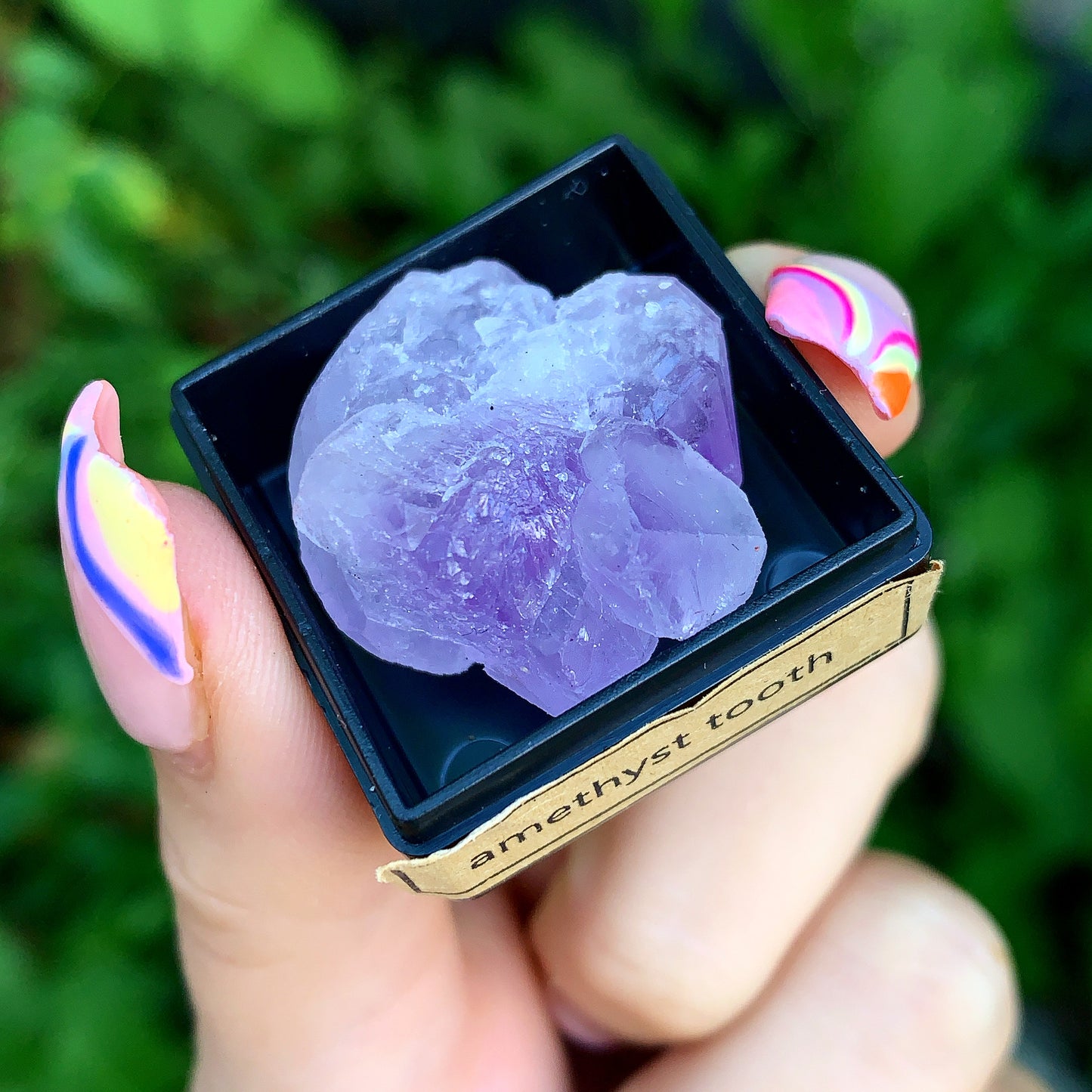 Ancient Specimen Fossil & Crystal Gift Box