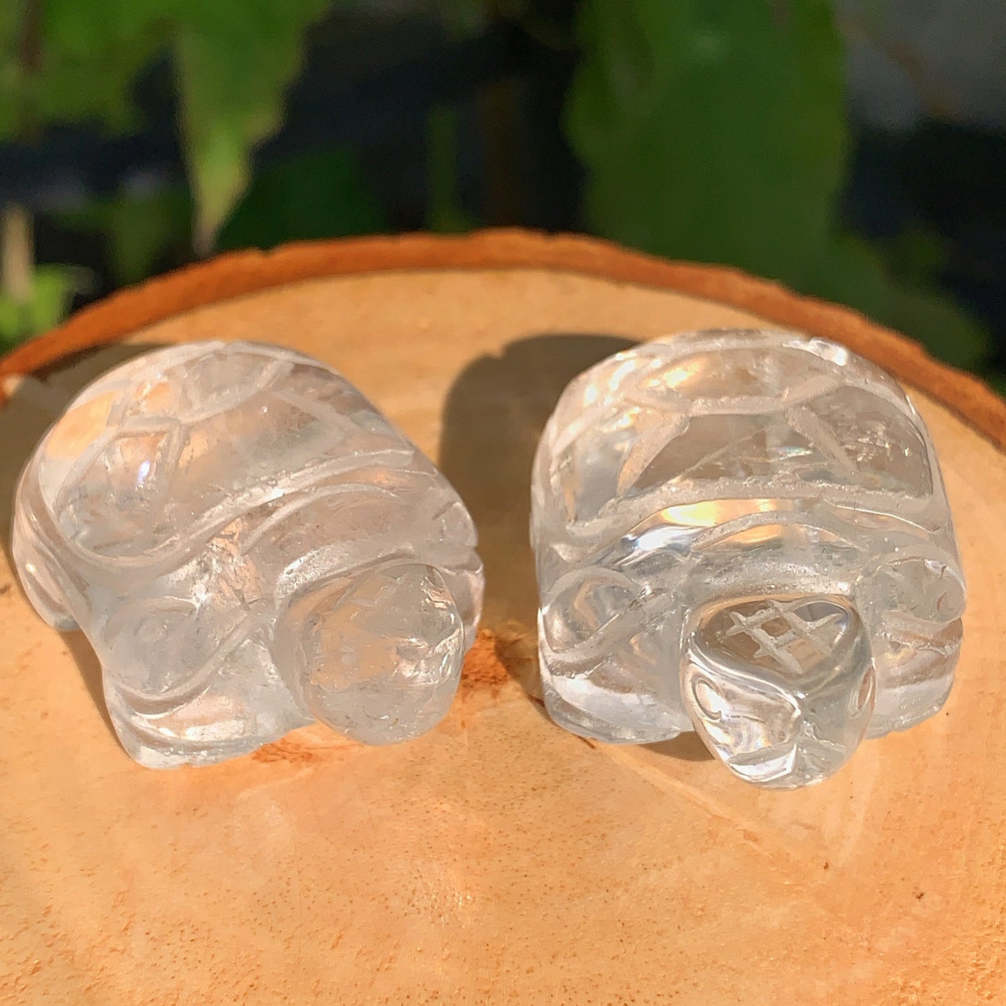 Clear Quartz Tortoise