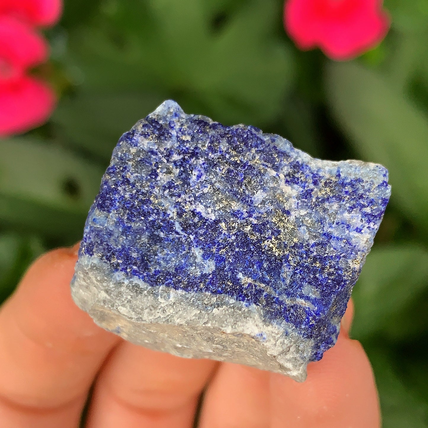 Lapis Lazuli Rough Raw Crystal