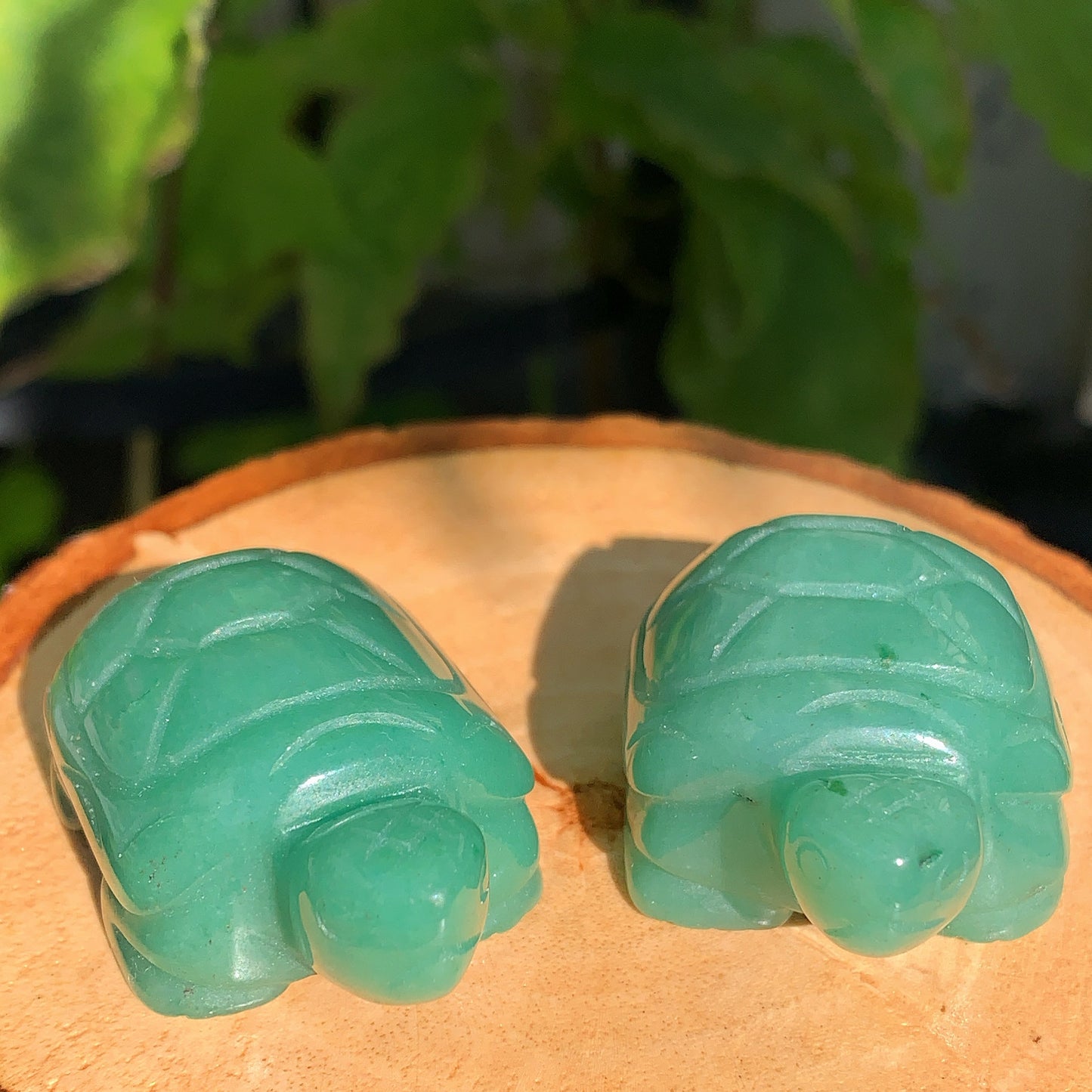 Aventurine Tortoise