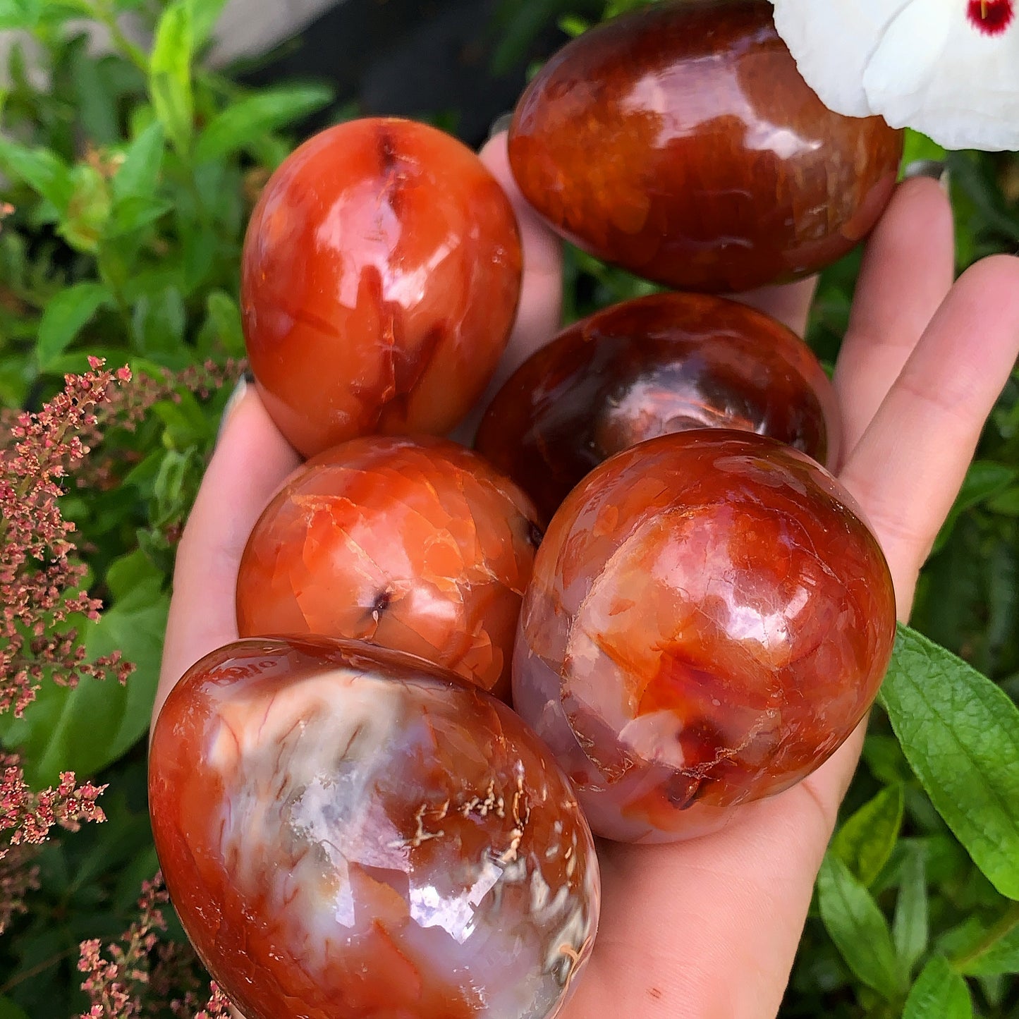 Carnelian Eggs