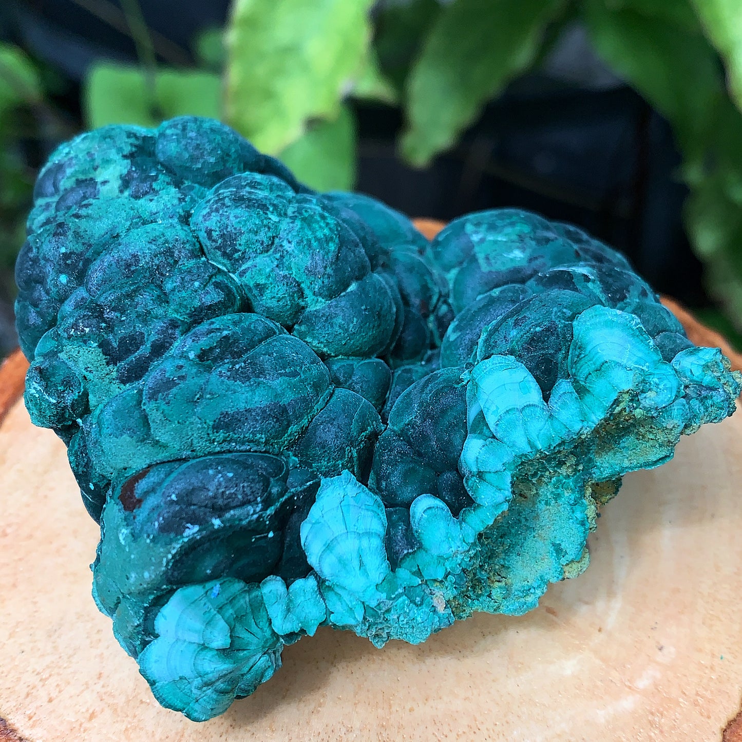 Malachite Dimension - 208g