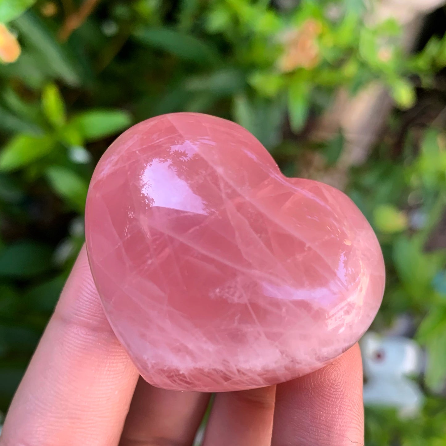 Rose Quartz Palm Hearts