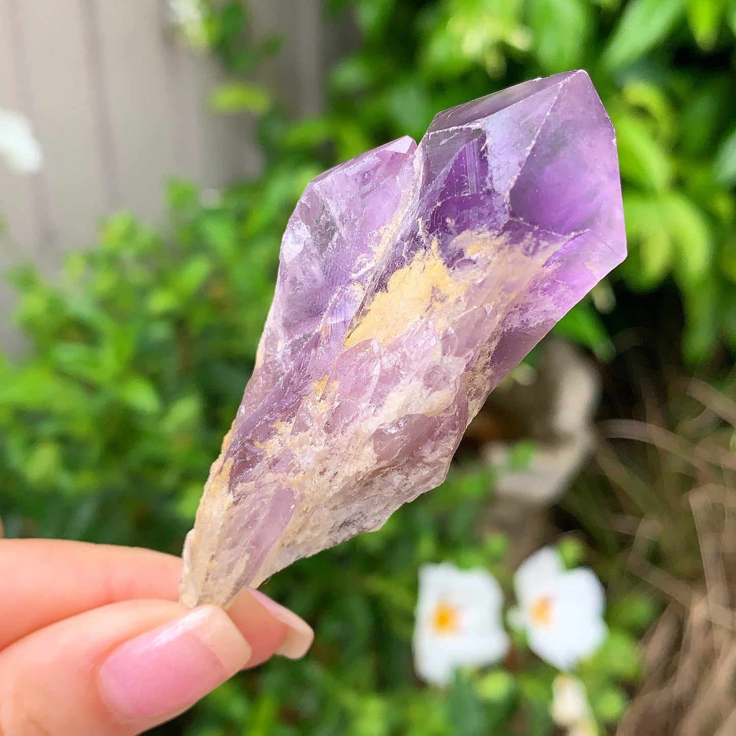 Raw Amethyst Shards