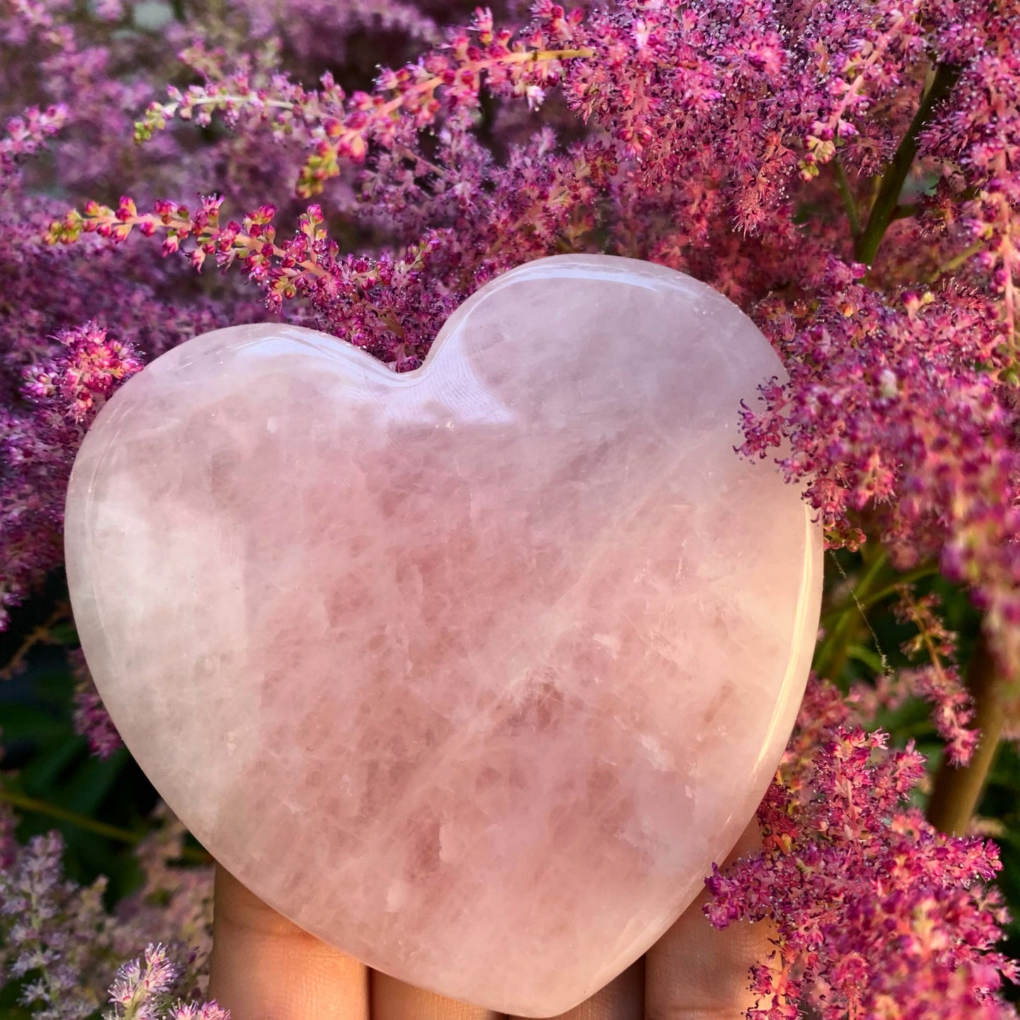 Rose Quartz Heart Slice
