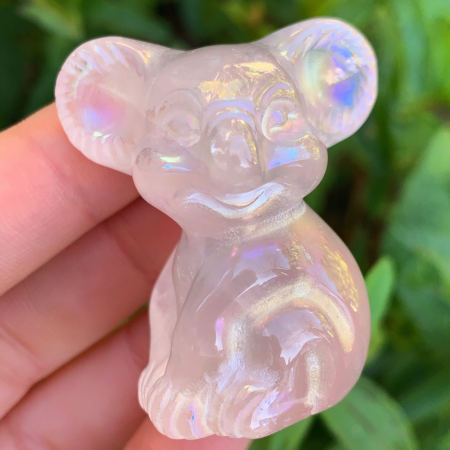 Koala Bear Rose Quartz Angel Aura