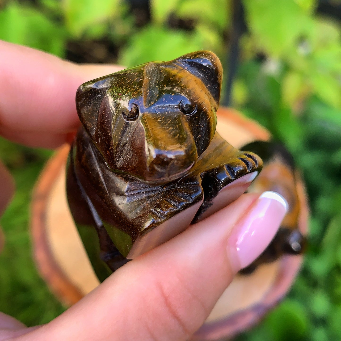 Tigers Eye Bear