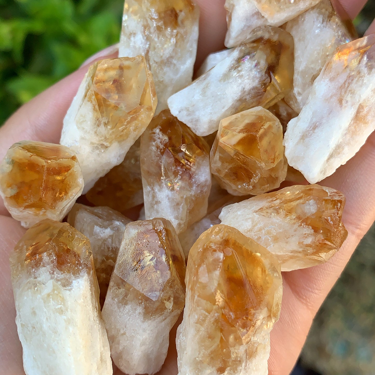 Mini Citrine Shards