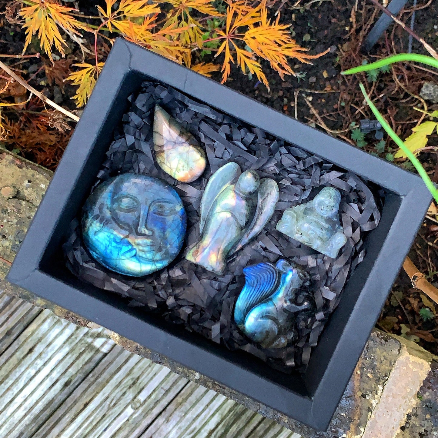 Labradorite Gift Box - Rainbow Wonders