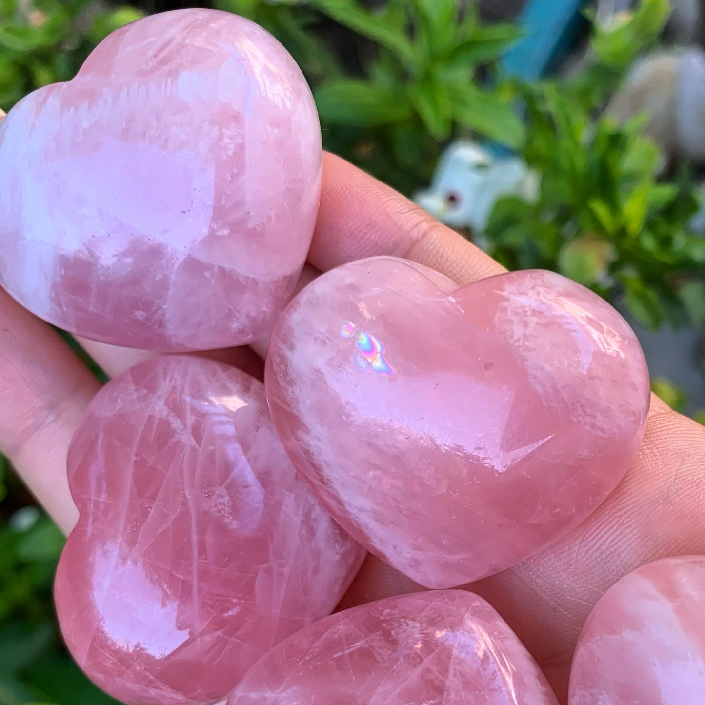 Rose Quartz Palm Hearts