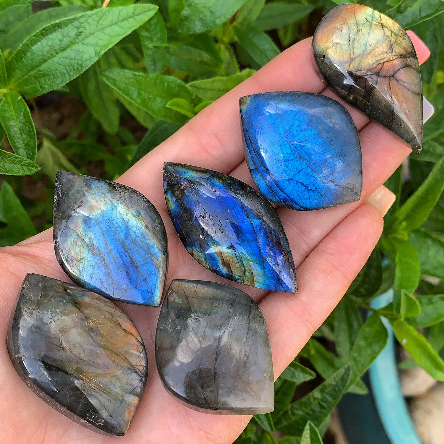 Labradorite Leaf