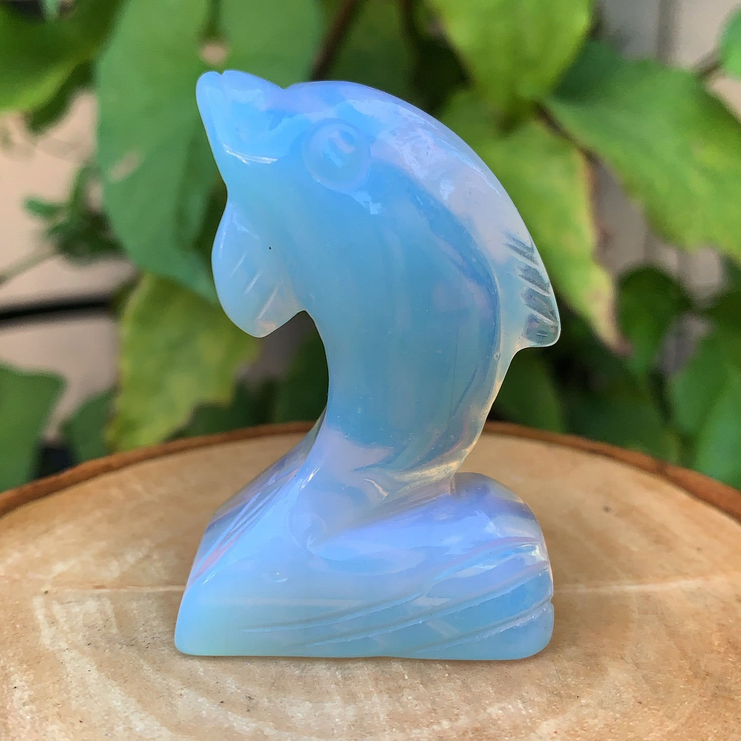 Crystal Dolphin