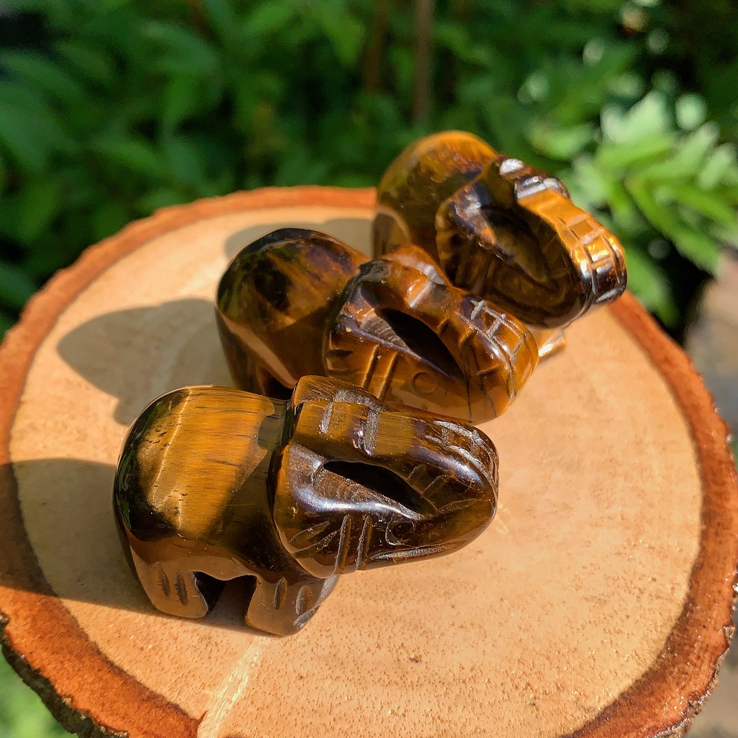 Tigers Eye Elephant