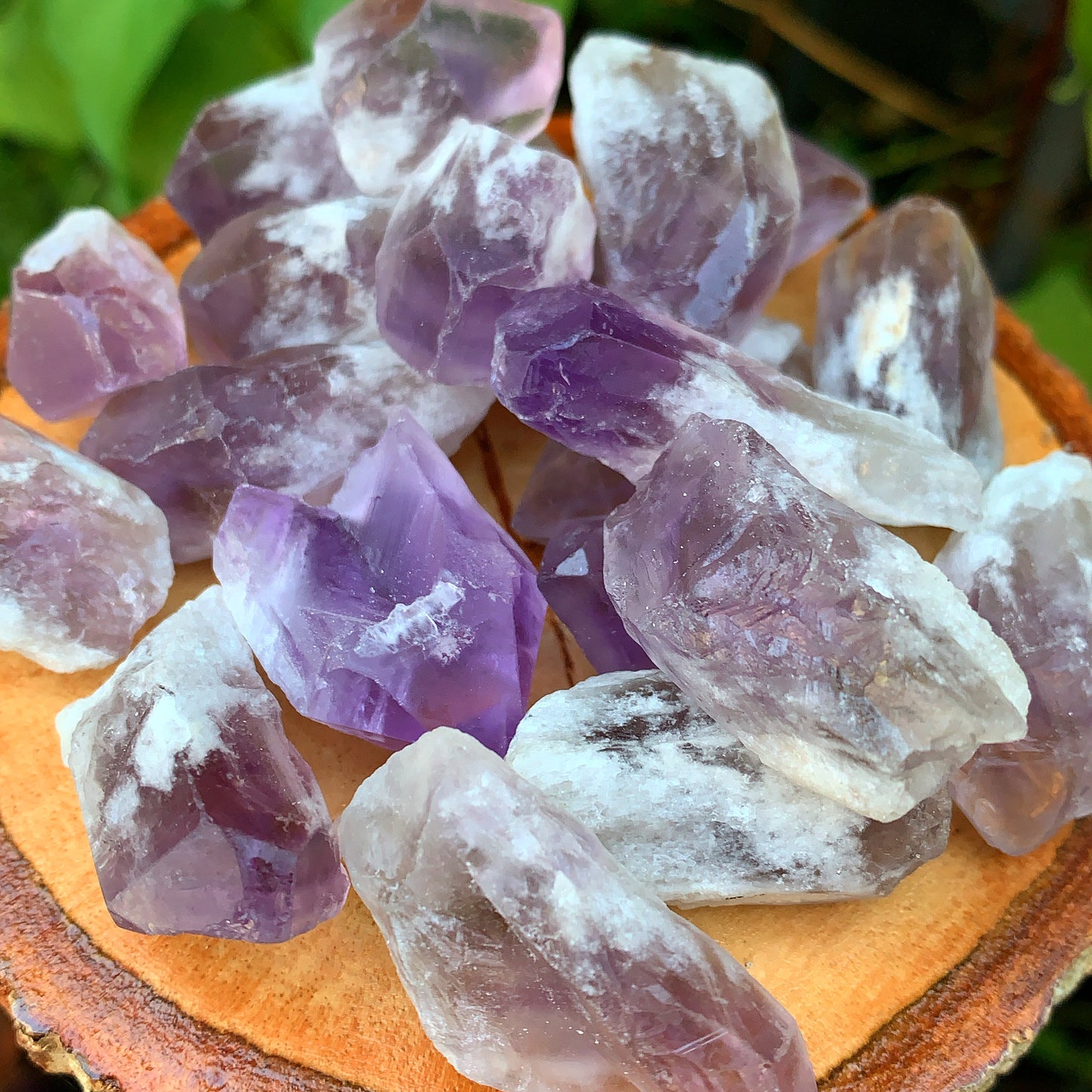 Mini Amethyst Shards