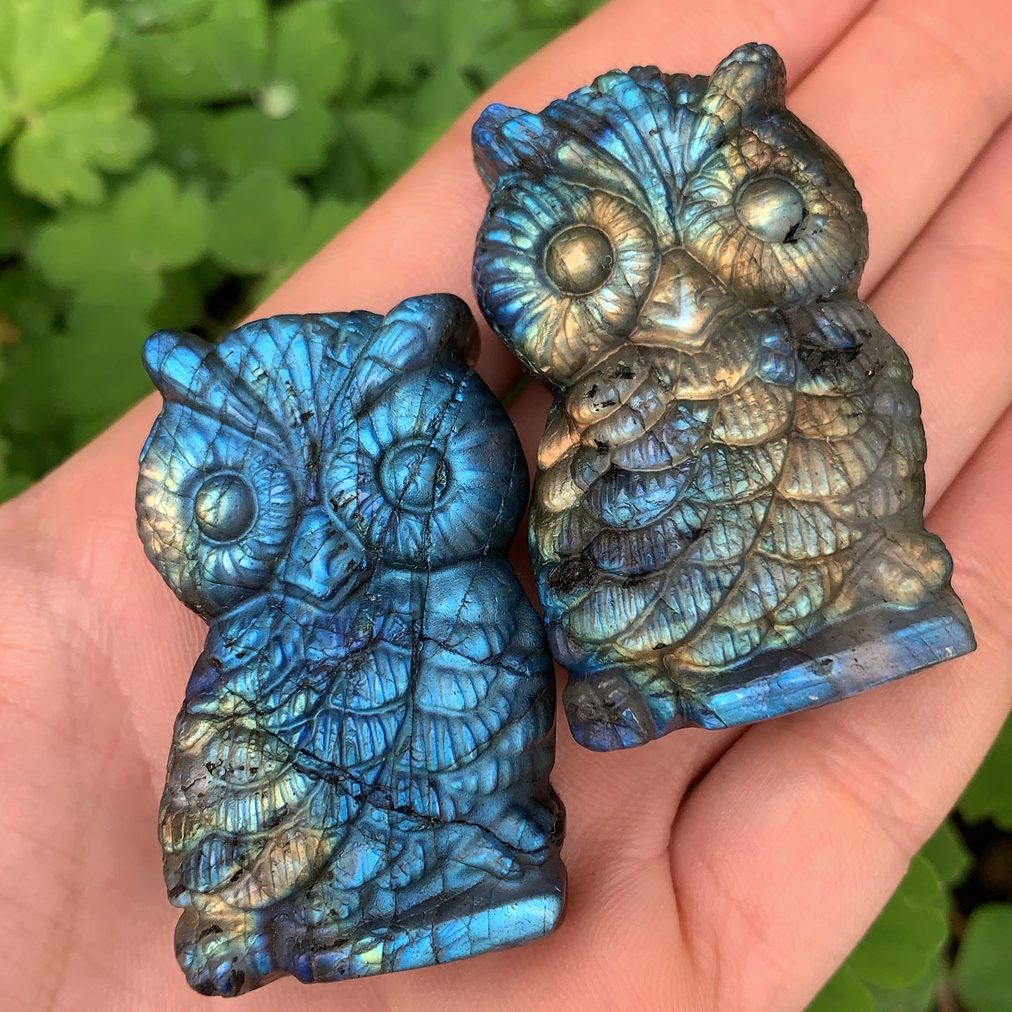 Hand Carved Labradorite Owl