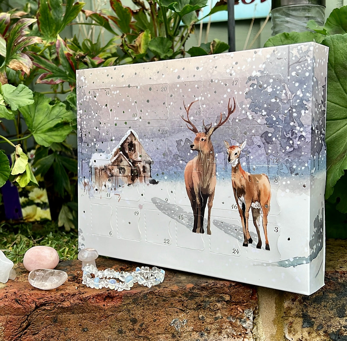 Crystal Christmas Advent Calendar