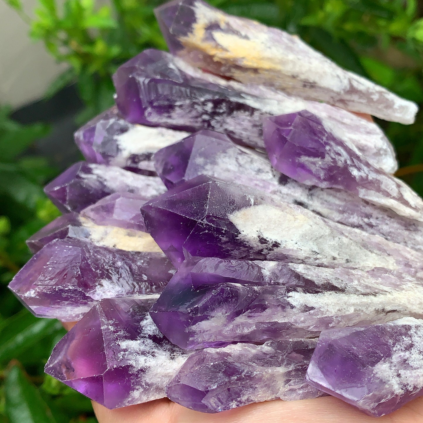 Raw Amethyst Shards