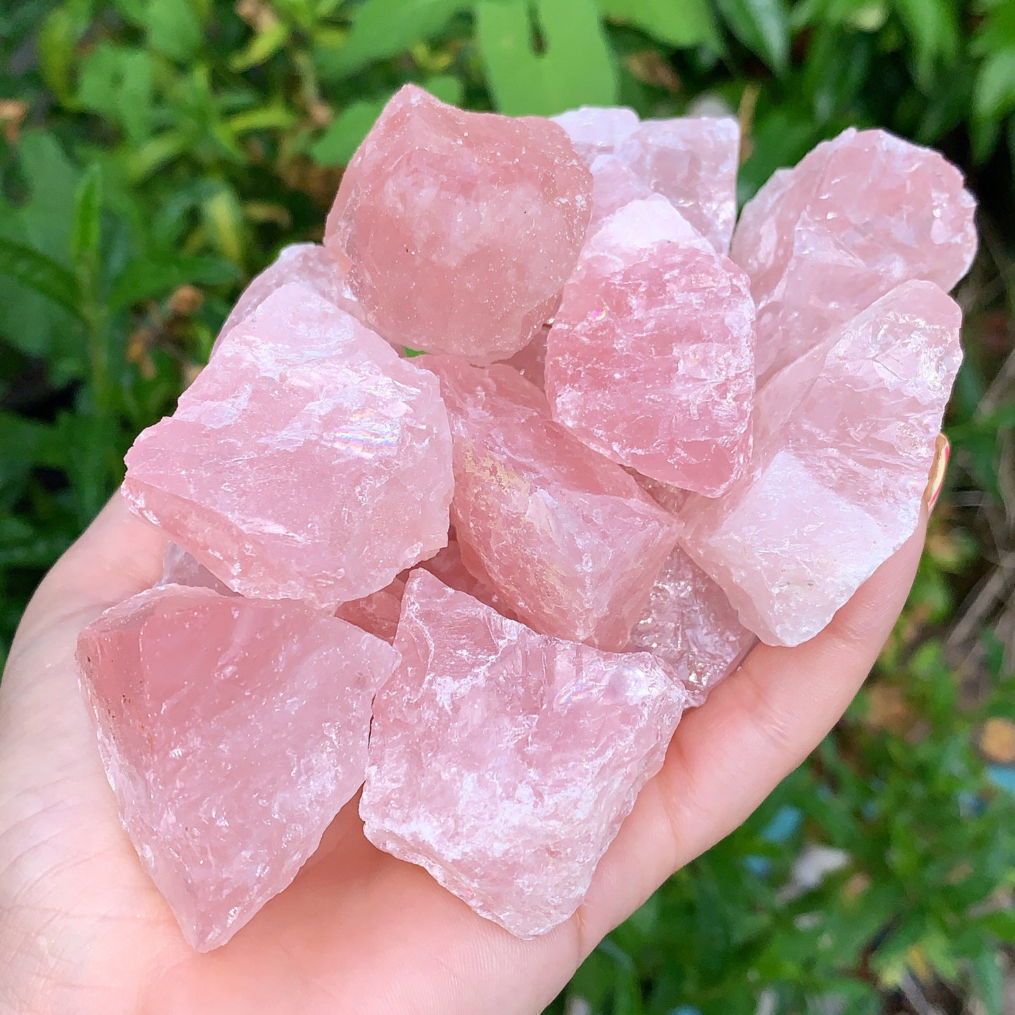 Rose Quartz Rough Raw Crystal