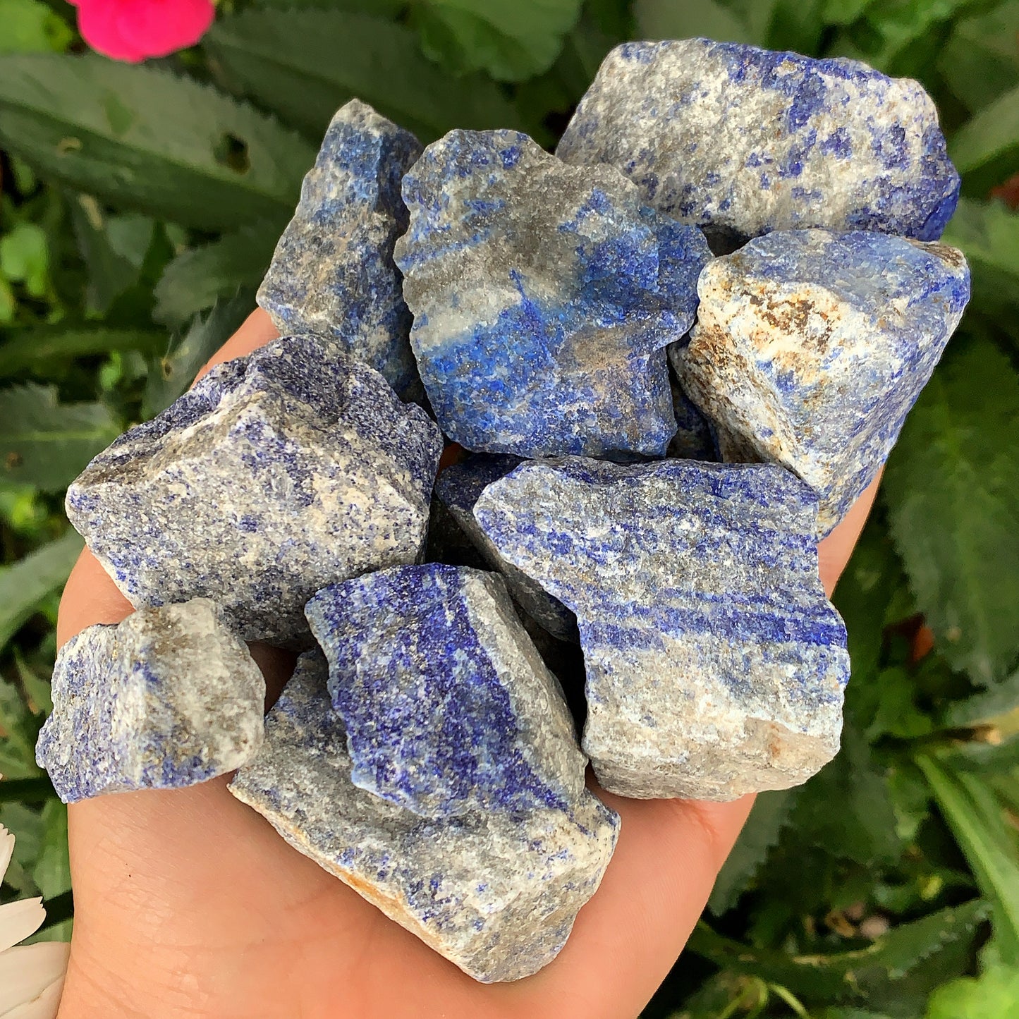 Lapis Lazuli Rough Raw Crystal