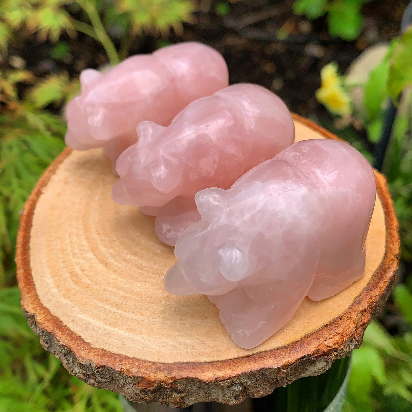Rose Quartz Bear