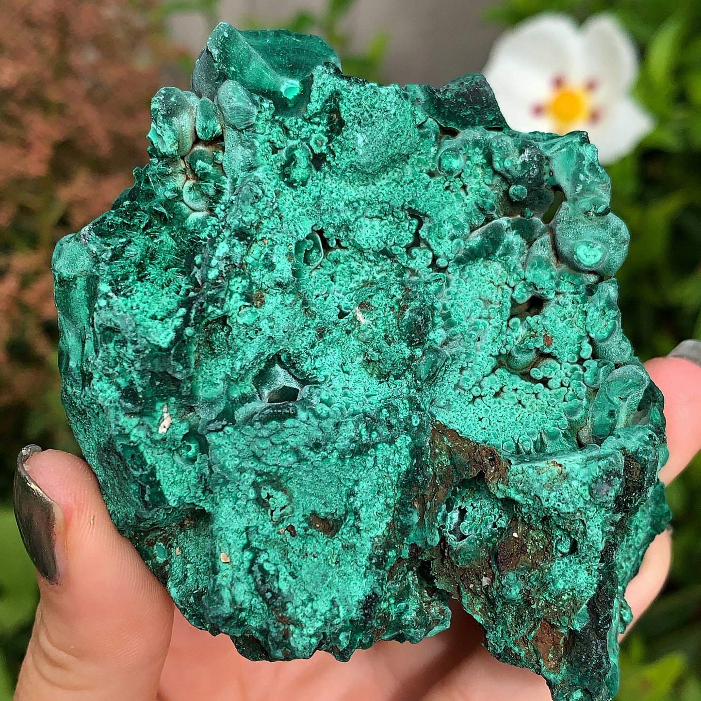 Malachite Trippy Velvet - 210g