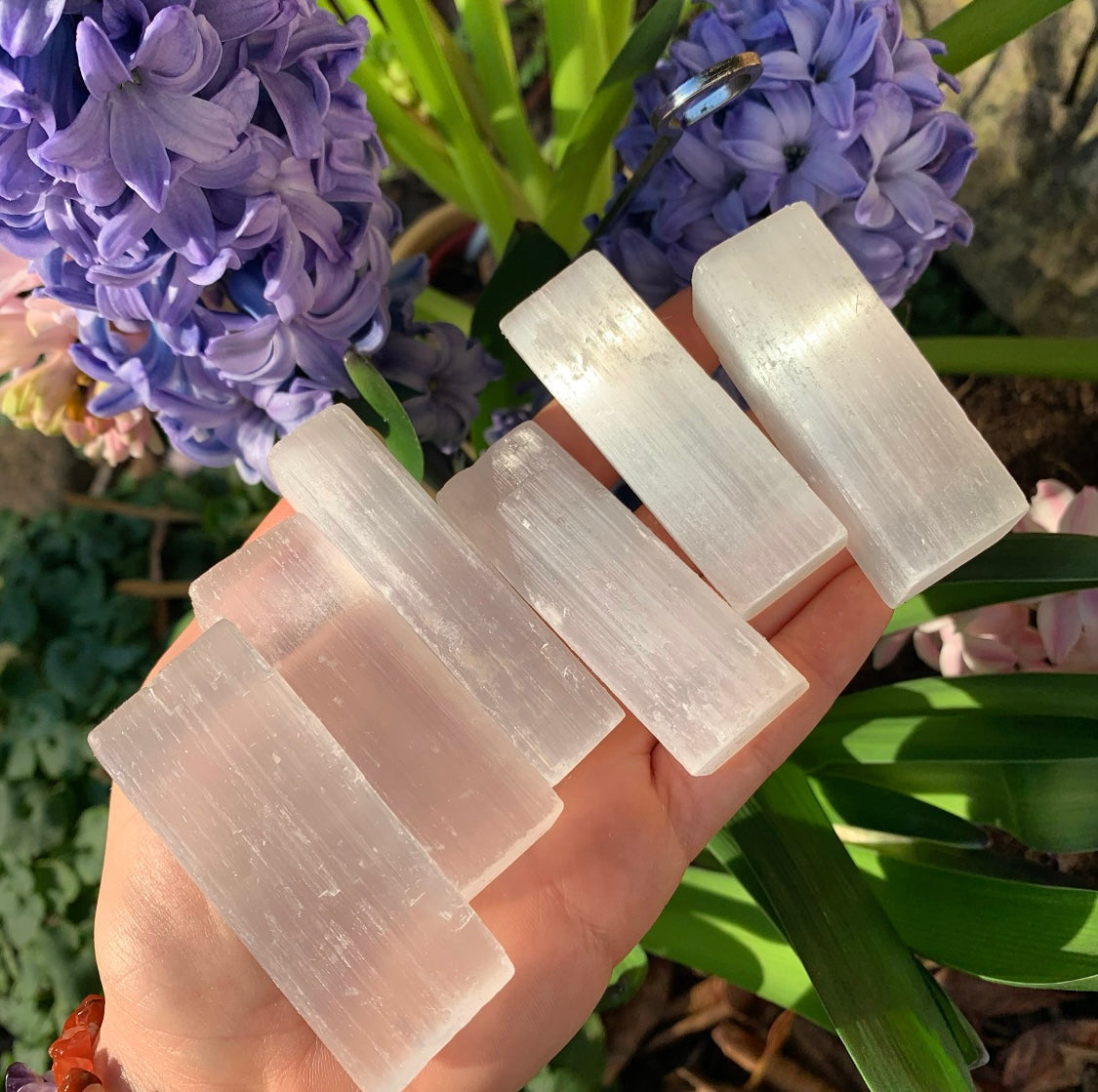 Selenite Bars