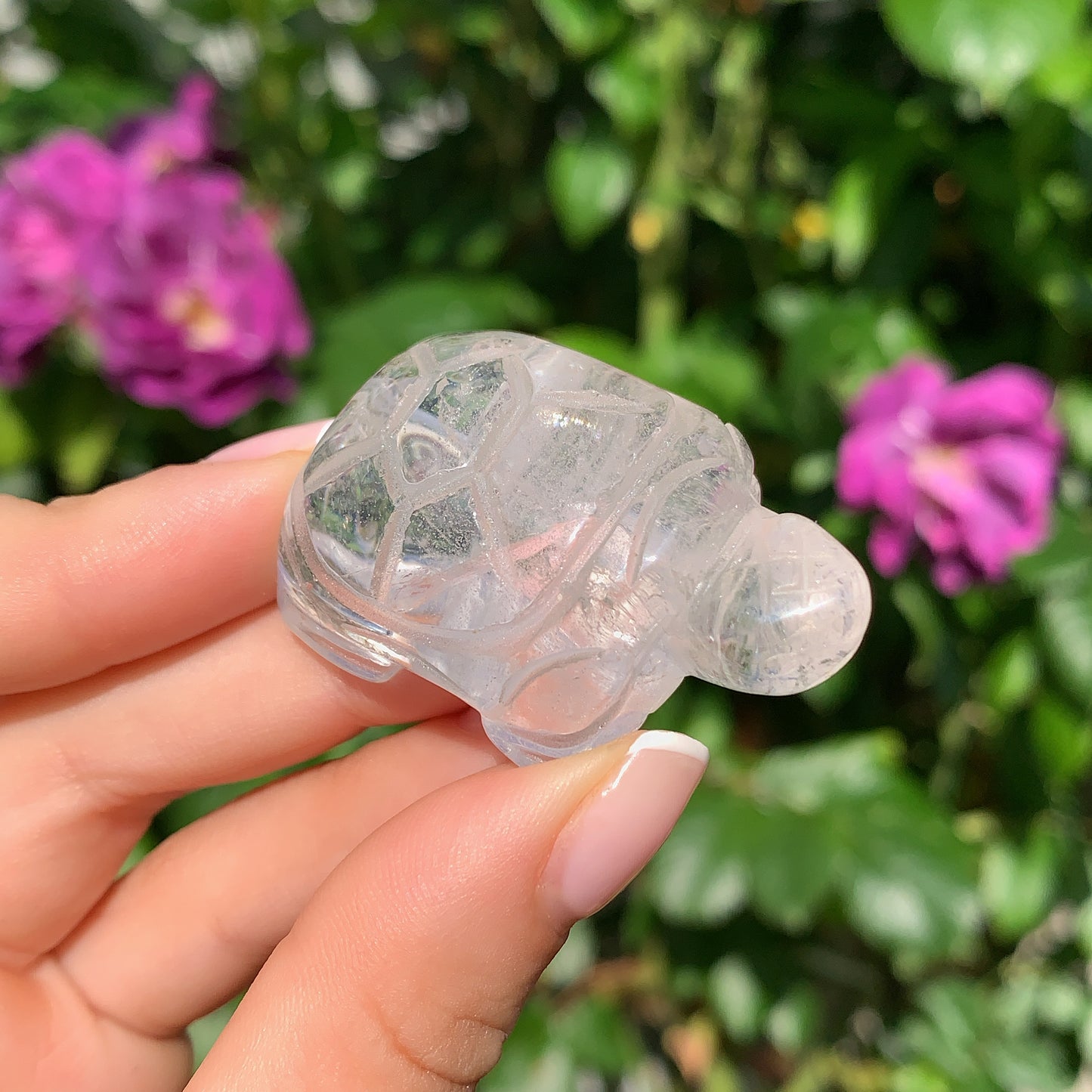 Crystal Tortoise