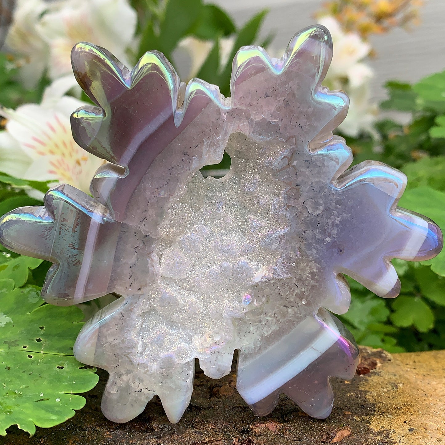 Angel Aura Druzy Agate Snowflake