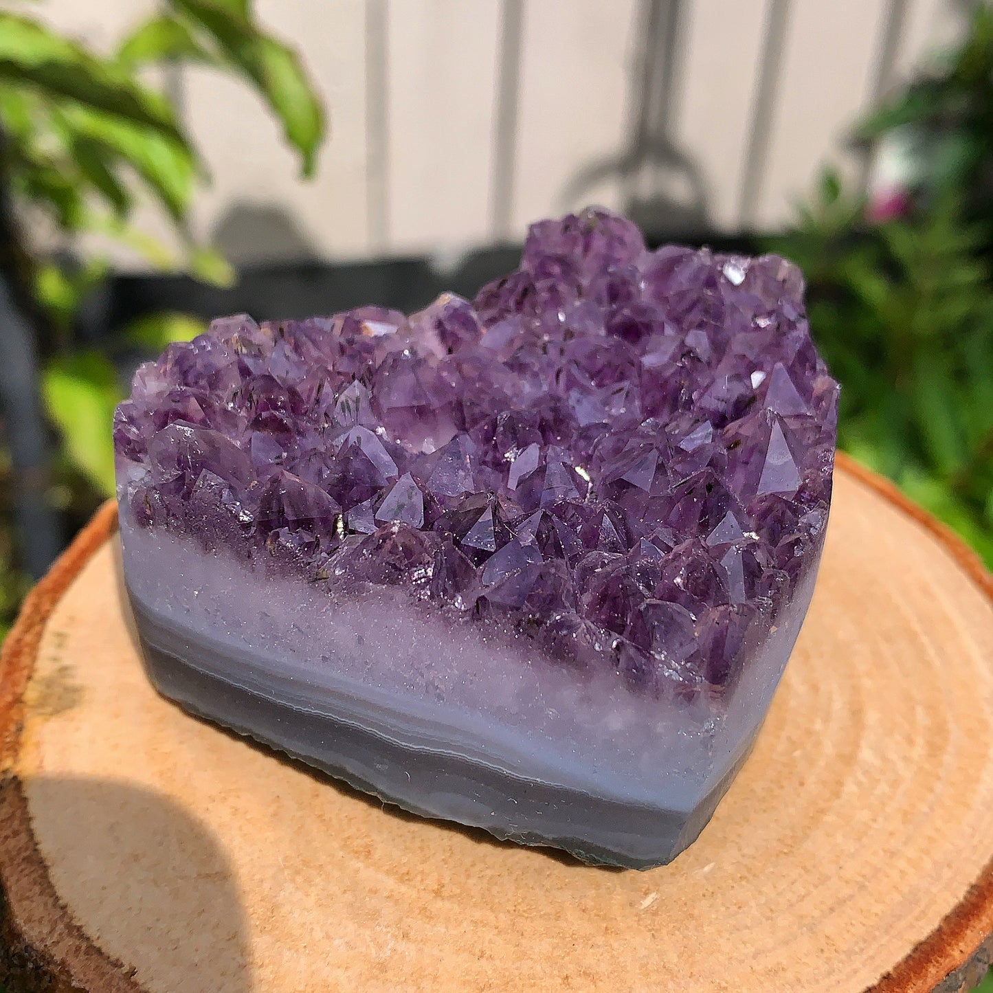Raw Amethyst Heart Cluster