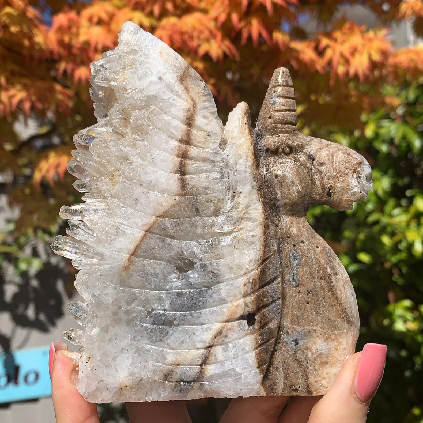 Raw Clear Quartz Unicorn