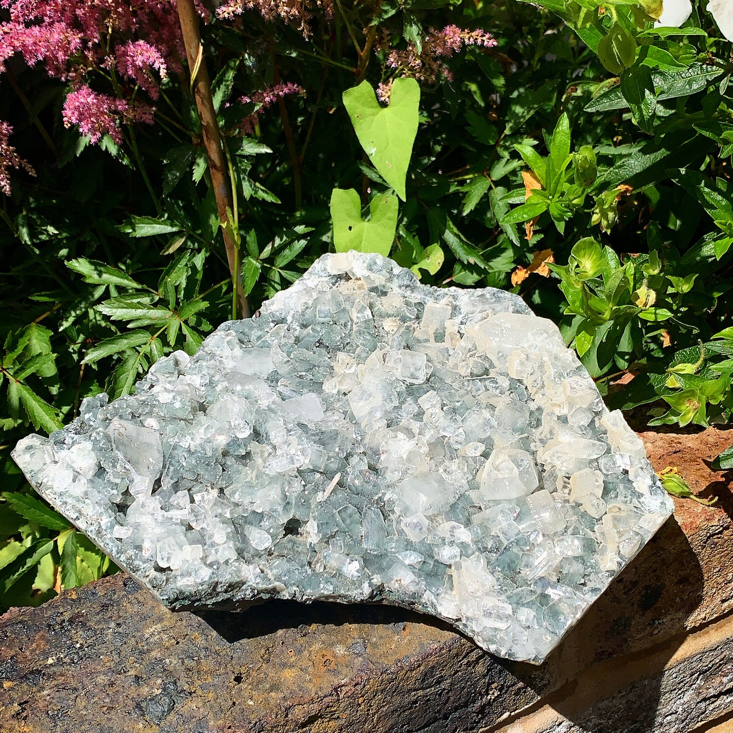 Rare Dark Apophyllite Raw Cluster - 3.3KG