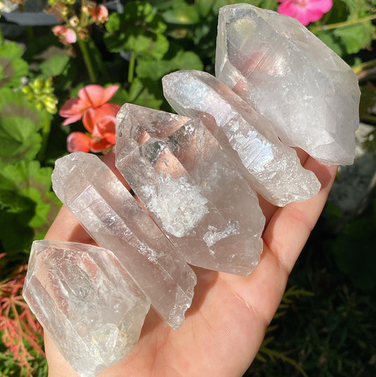 Extra Large Clear Quartz Raw Crystal Points