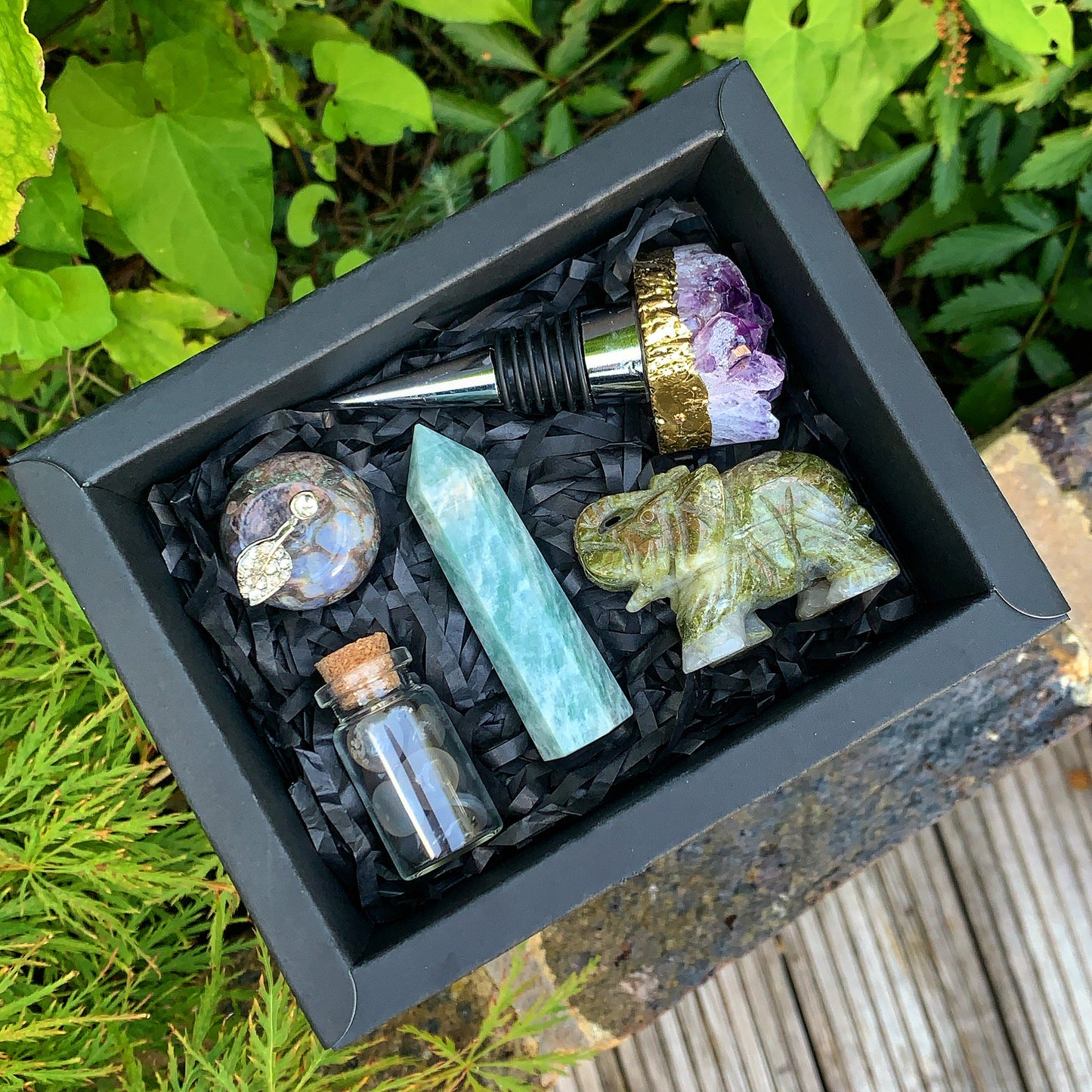 Life on Earth Gift Box