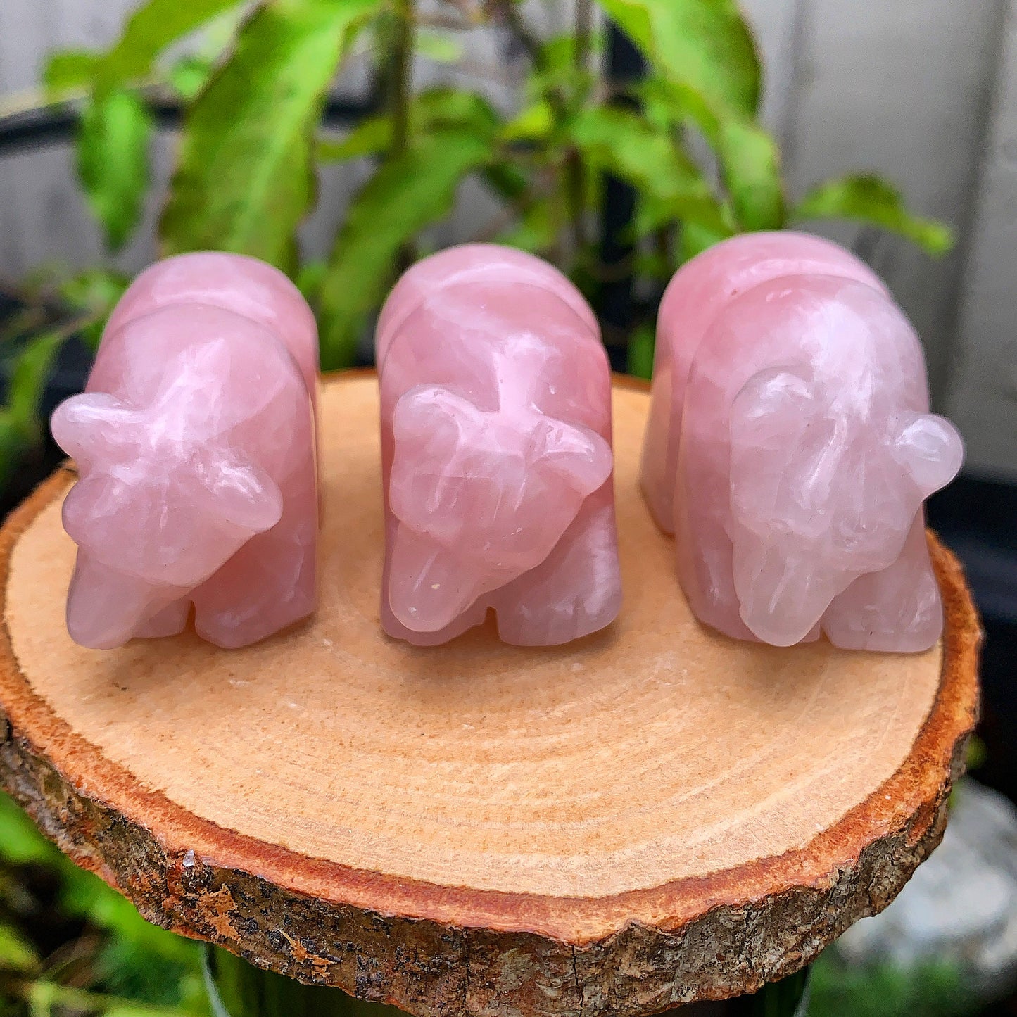 Rose Quartz Bear