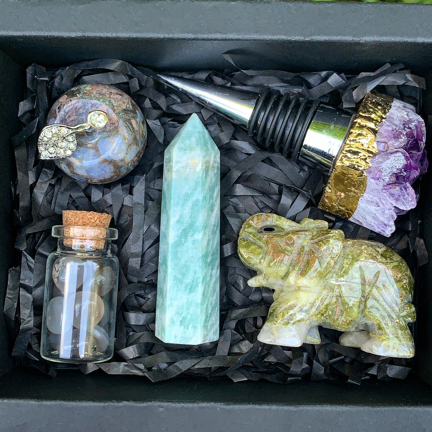 Life on Earth Gift Box