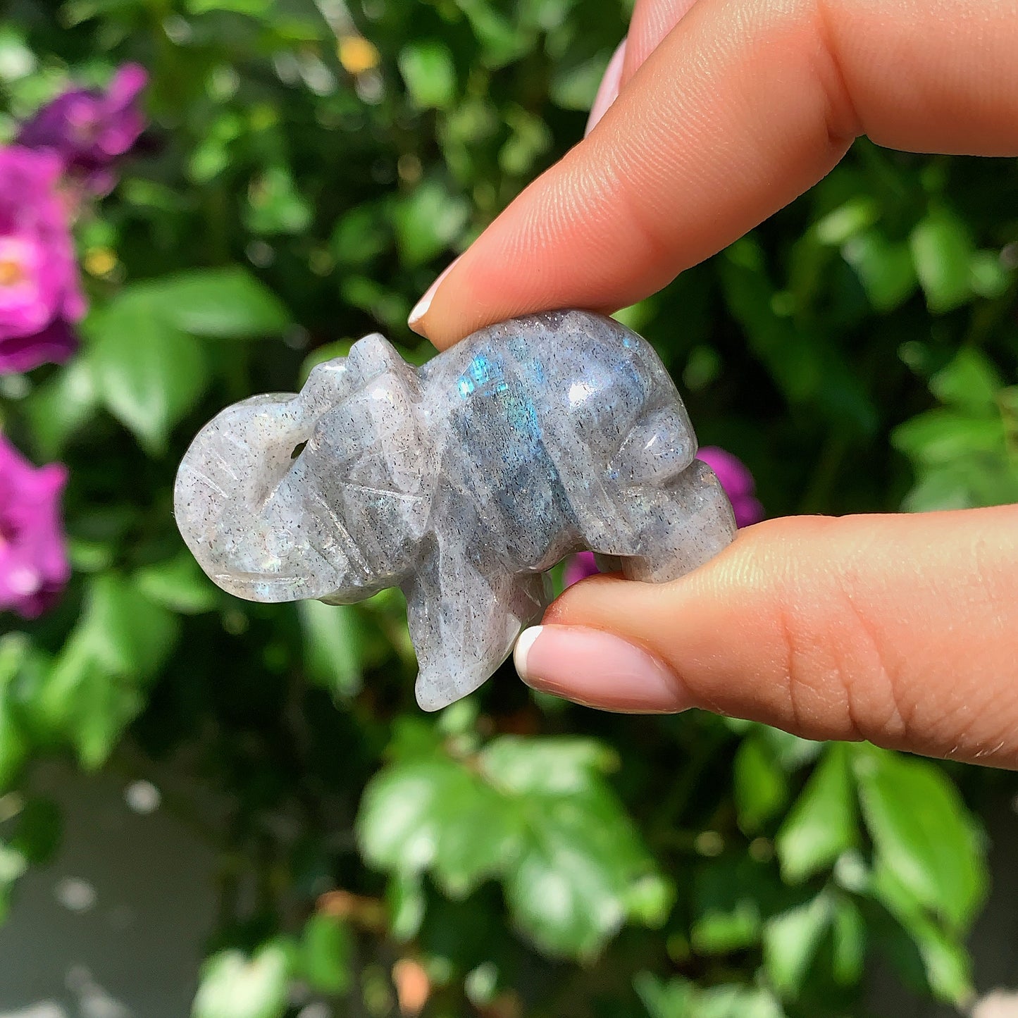 Labradorite Elephant