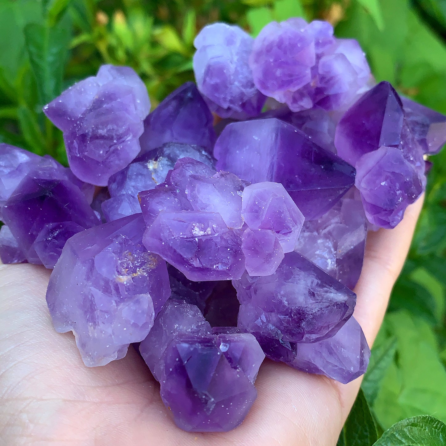 Amethyst Rough Point Clusters