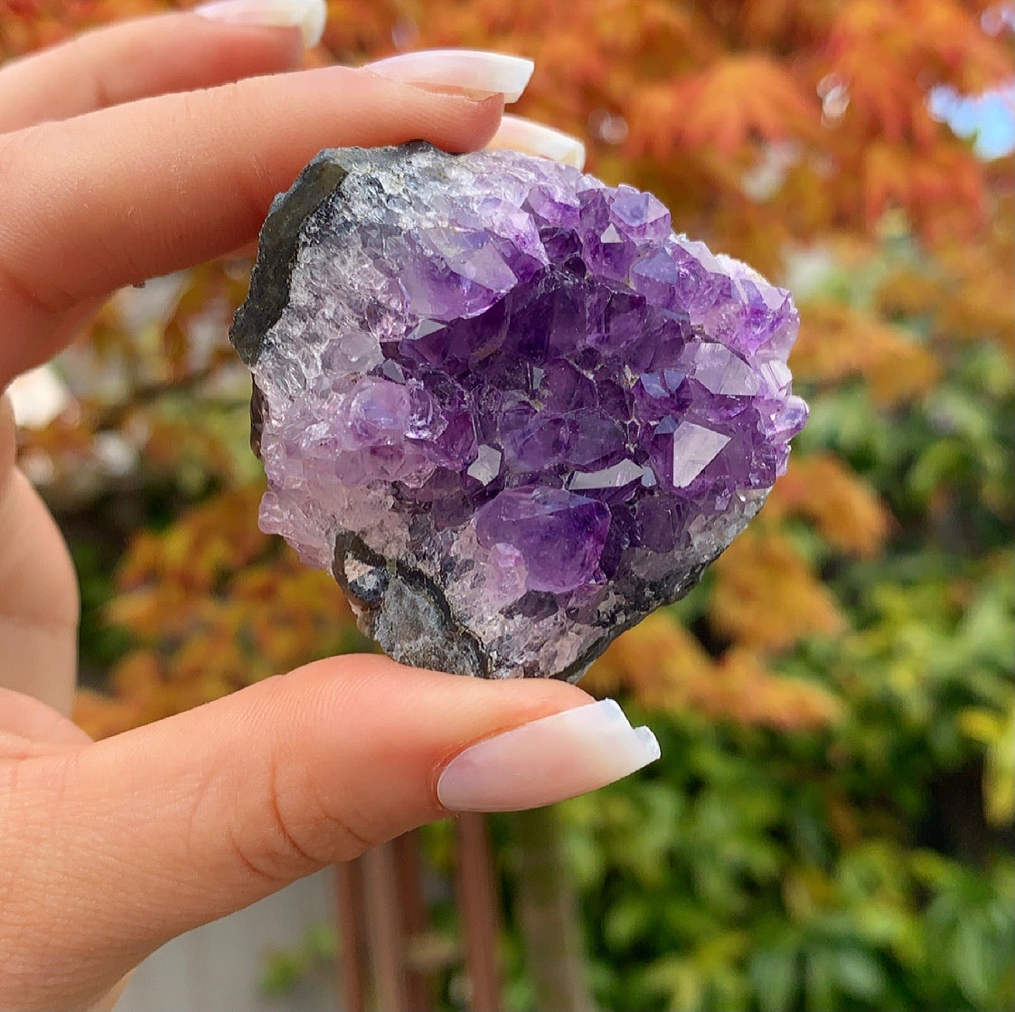 Raw Amethyst Cluster