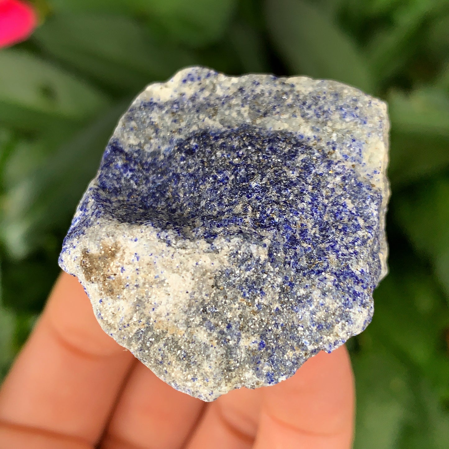 Lapis Lazuli Rough Raw Crystal