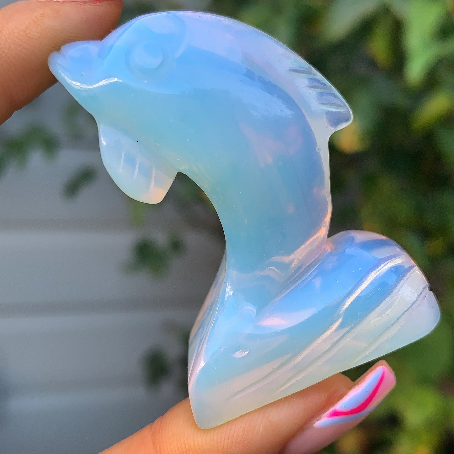 Crystal Dolphin